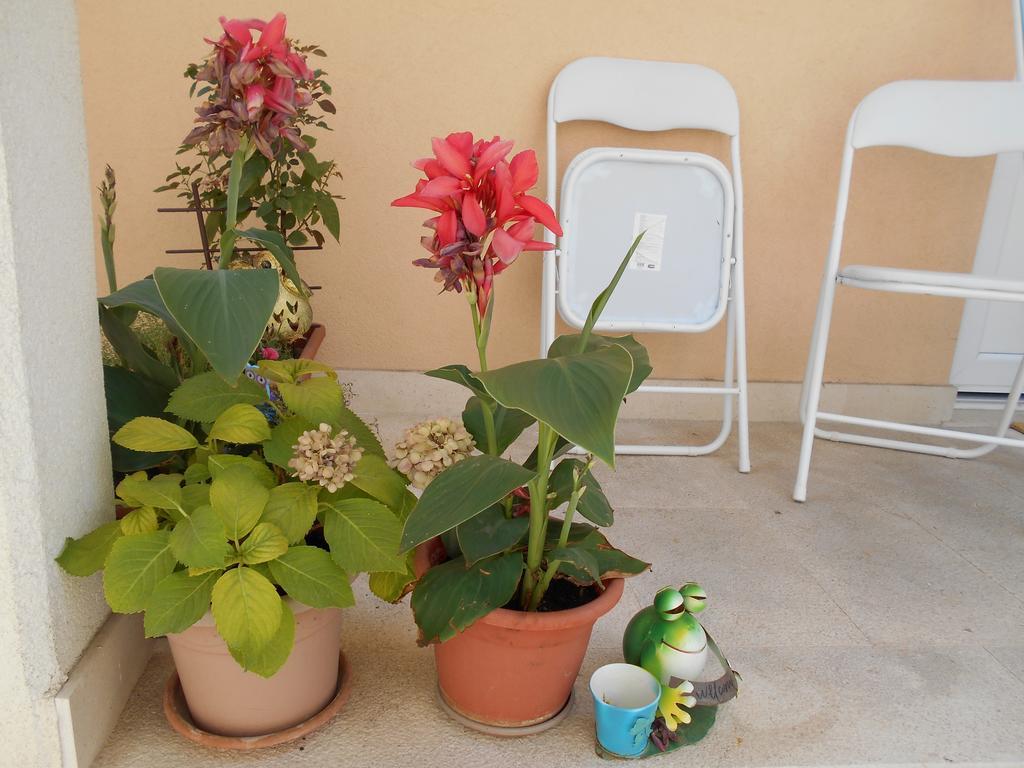 Apartment Ante Split