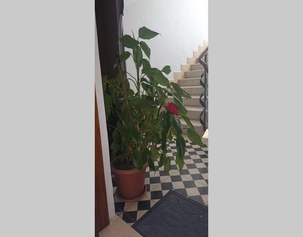 Dado Apartment