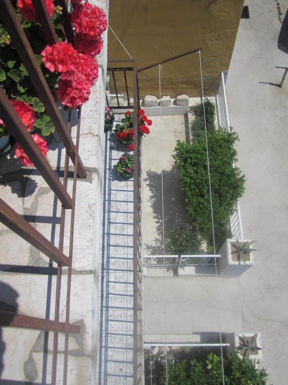 Bed & Breakfast Eco Old Town