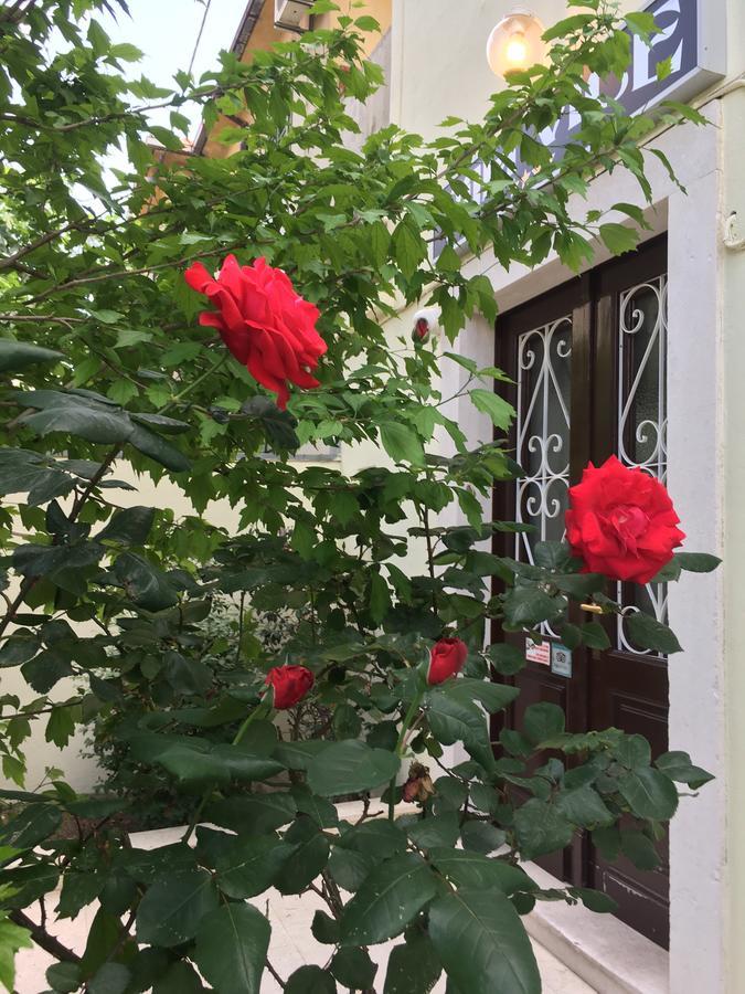 Guest house Guesthouse Villa Vice 3*