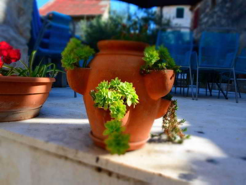 Apartamento Slavica *