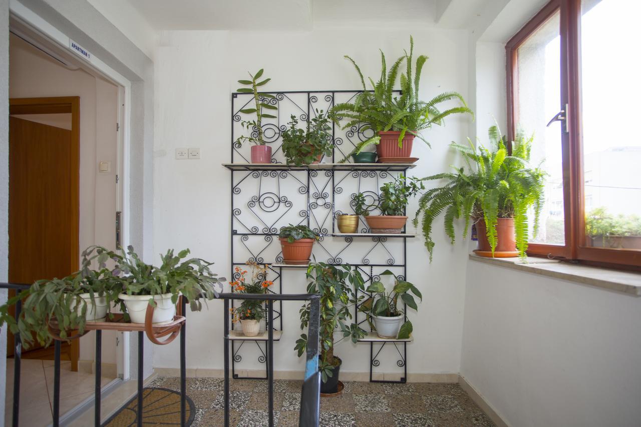 Marijeta Split