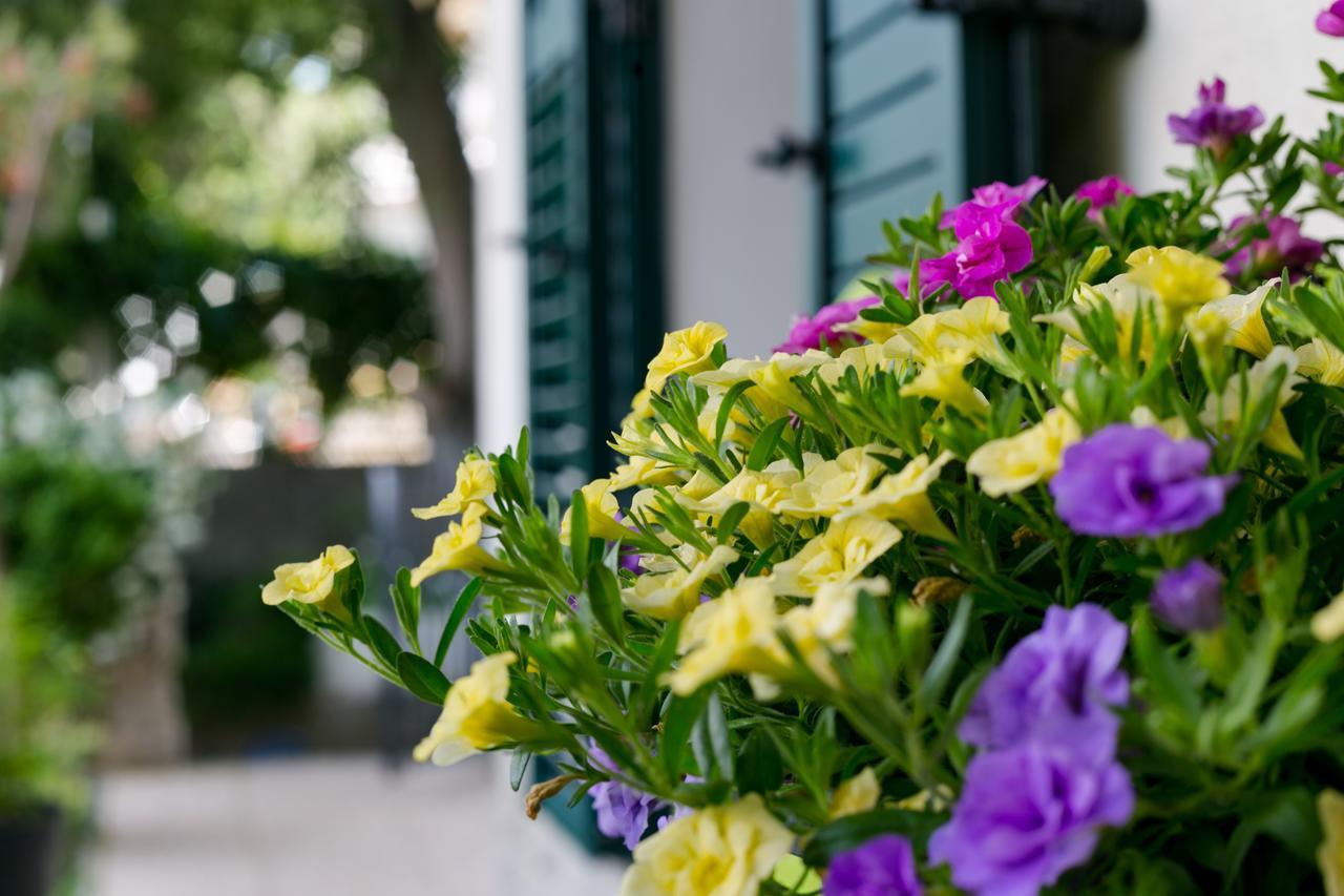 Apartman Vana & Tea Luxury Split