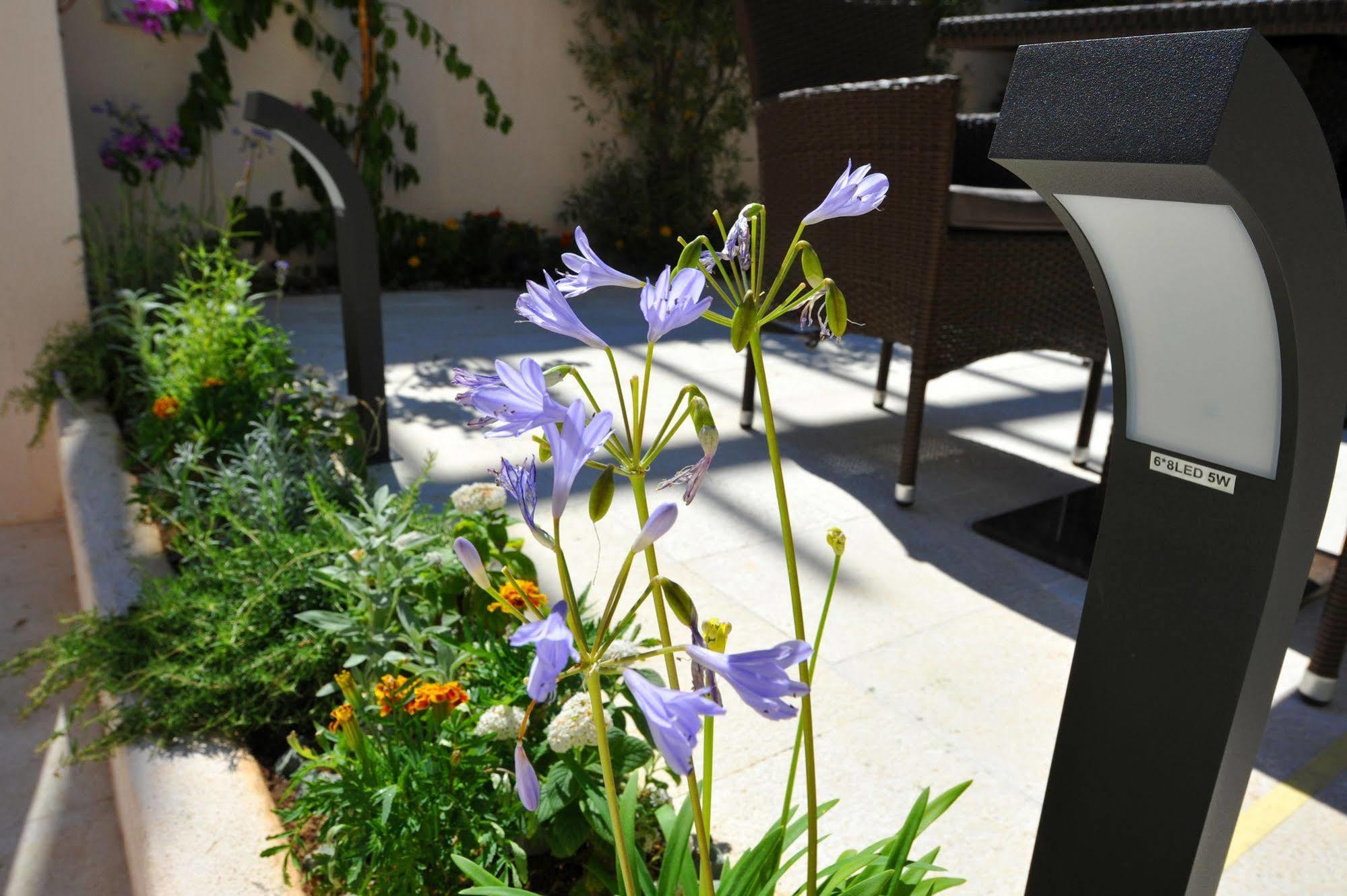 Ibella Boutique Bed & Breakfast