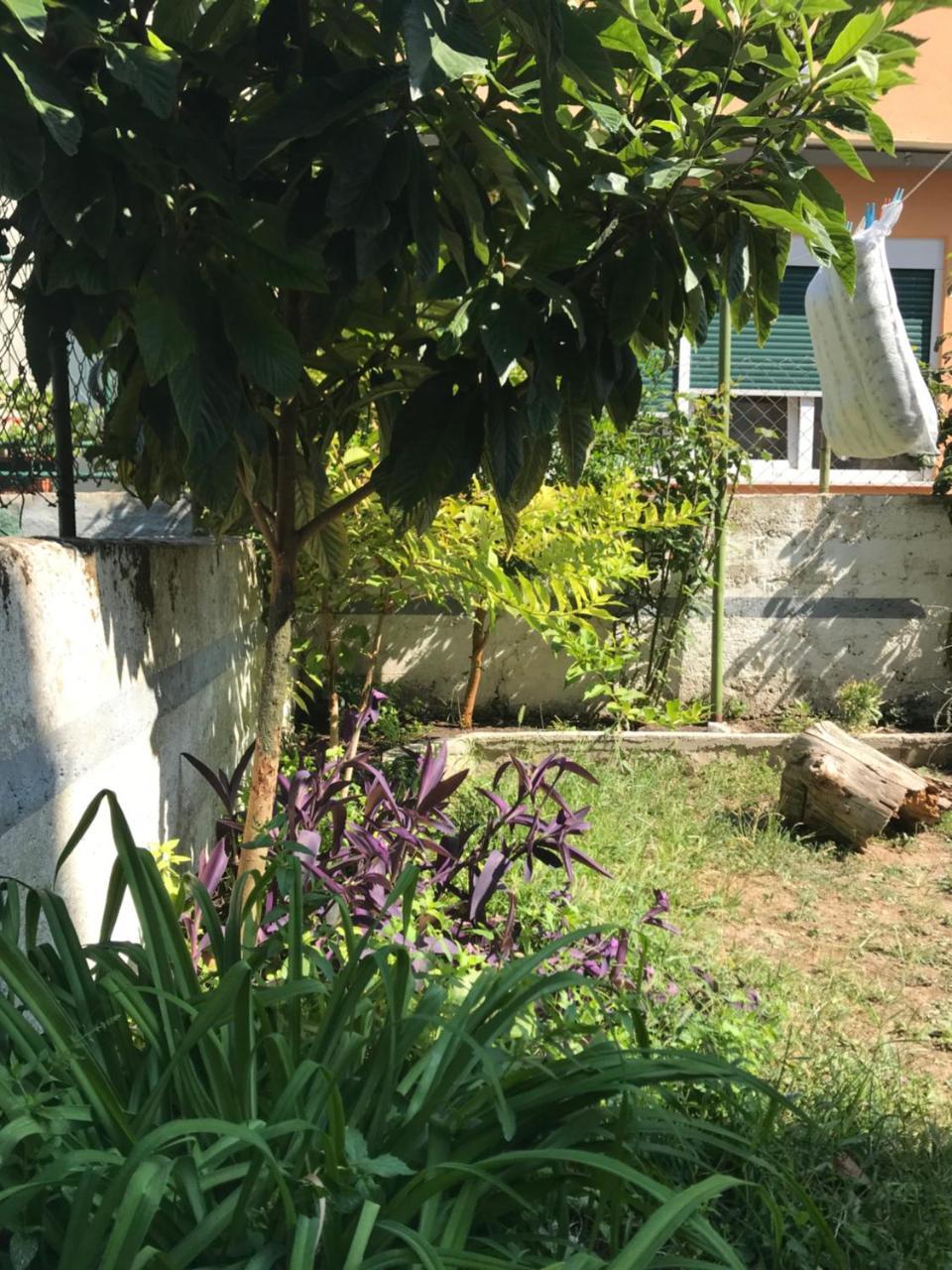 Nirvana & Casa de hóspedes