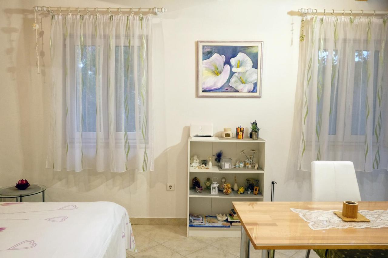 Apartment Ante Apartment