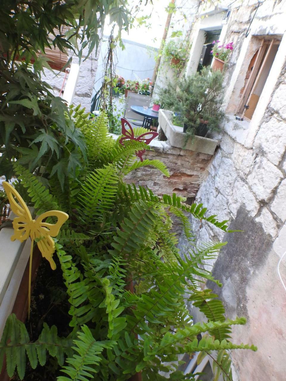 Apartment Apartments Kovacic_Grubisic Split