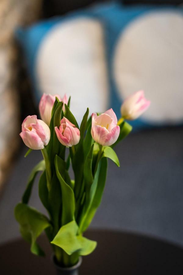 No.5 Luxury Apartman Split