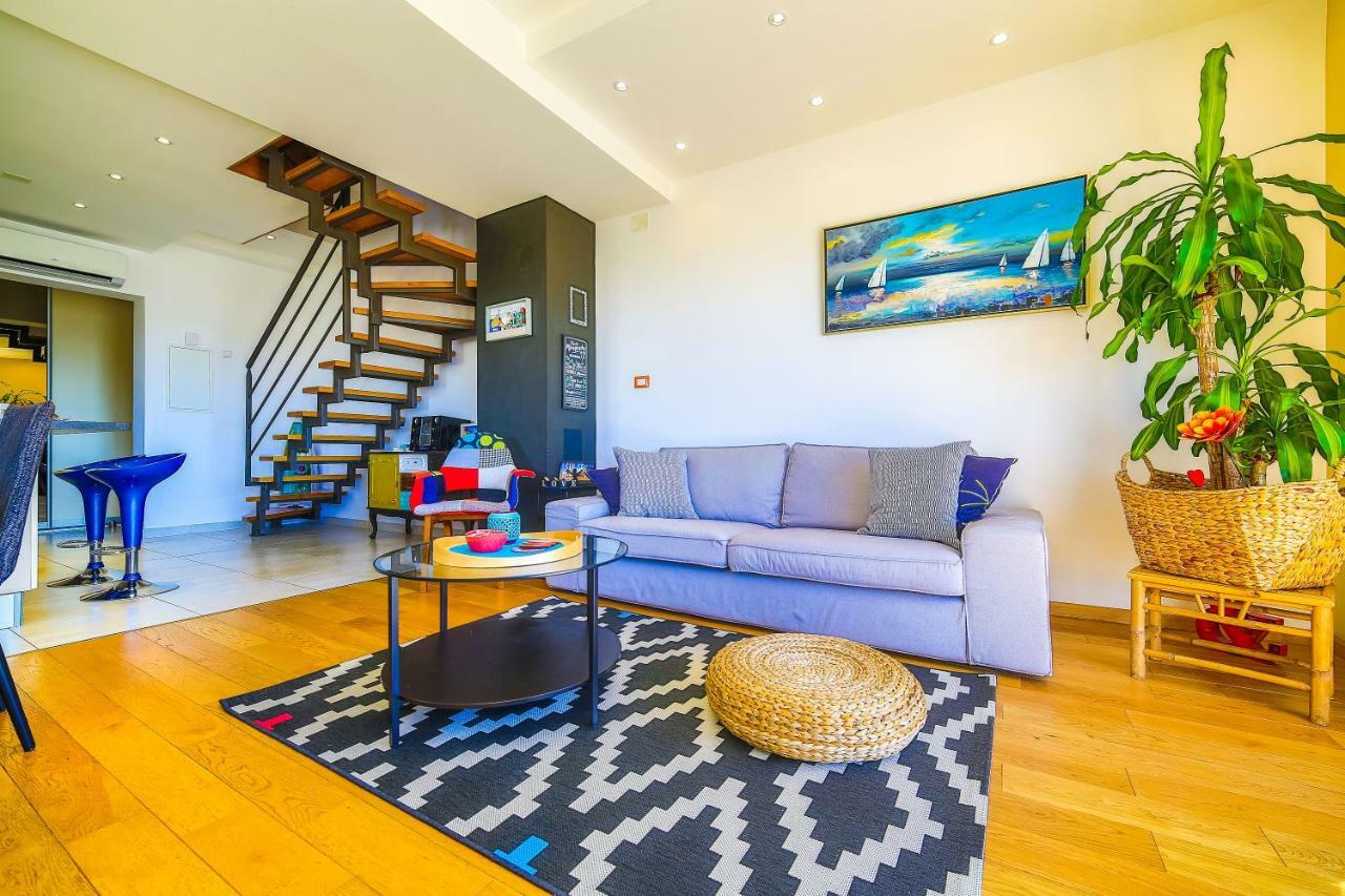 Apartment Appartments With Terrace Or Garden