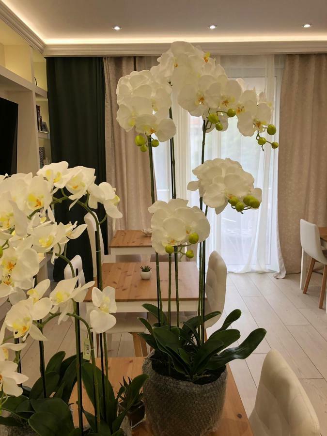 Boutique Bacvice 4*