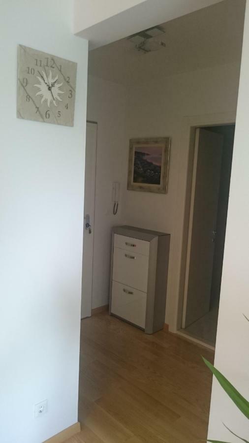 Luxury Apartment
