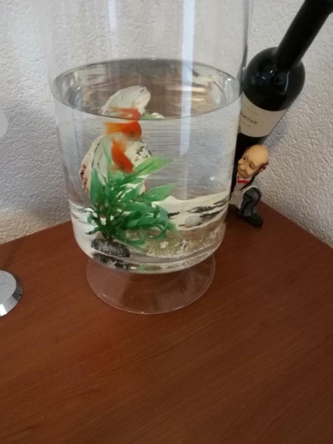 Apartment Radun Split