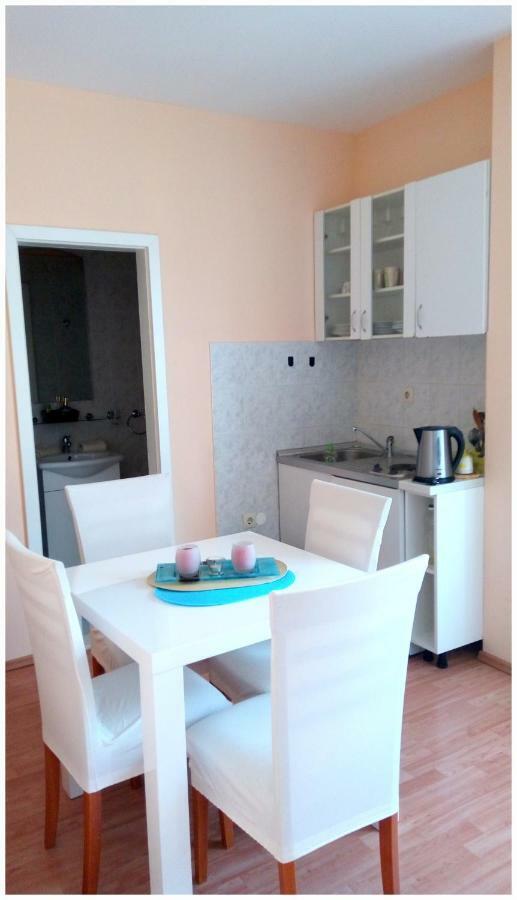 Apartman Biocic