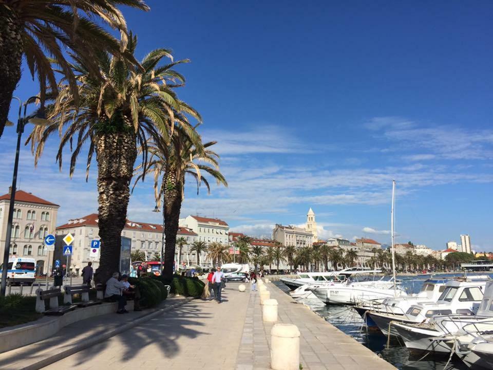Apartment Spacious In City Center Split