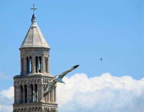 Damjan * Split