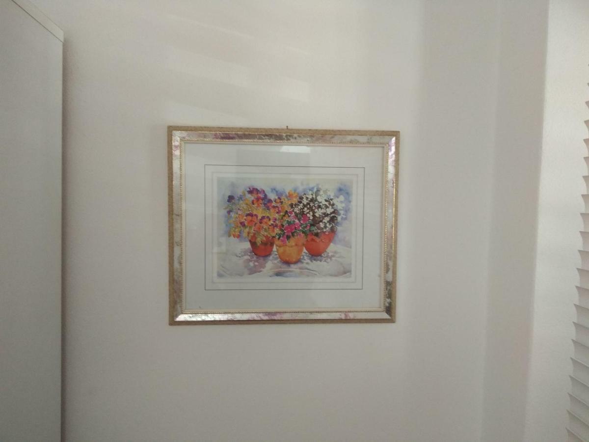 Apartman Dario *