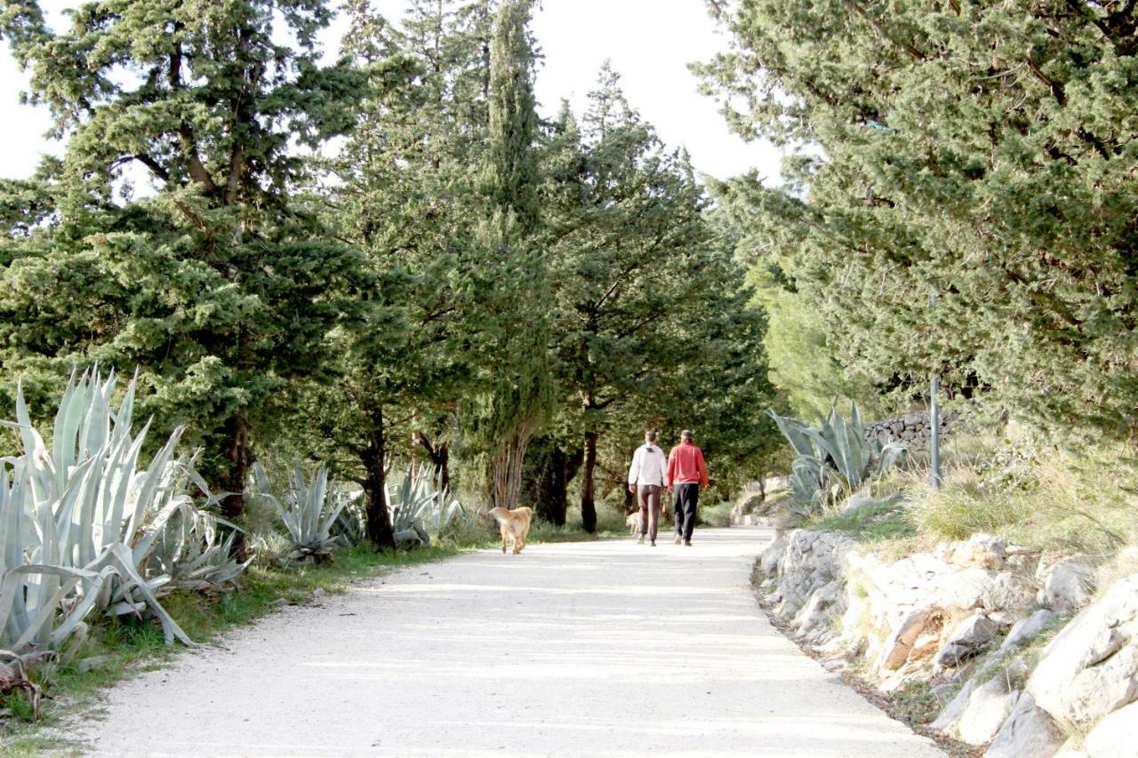 Marjan Hill - Close To Center & Garage