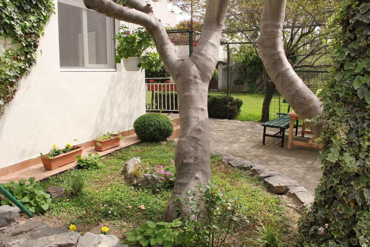 Viva Apartment Split