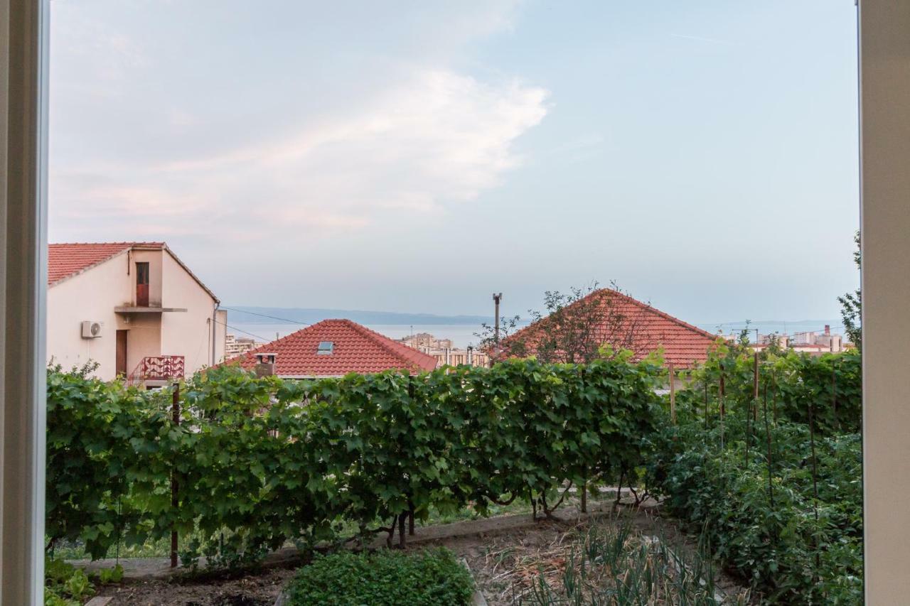 Apartment Lusani *