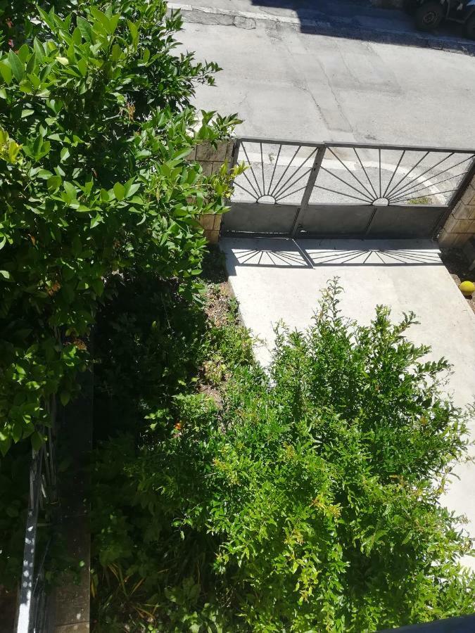 Guest house Park Marjan