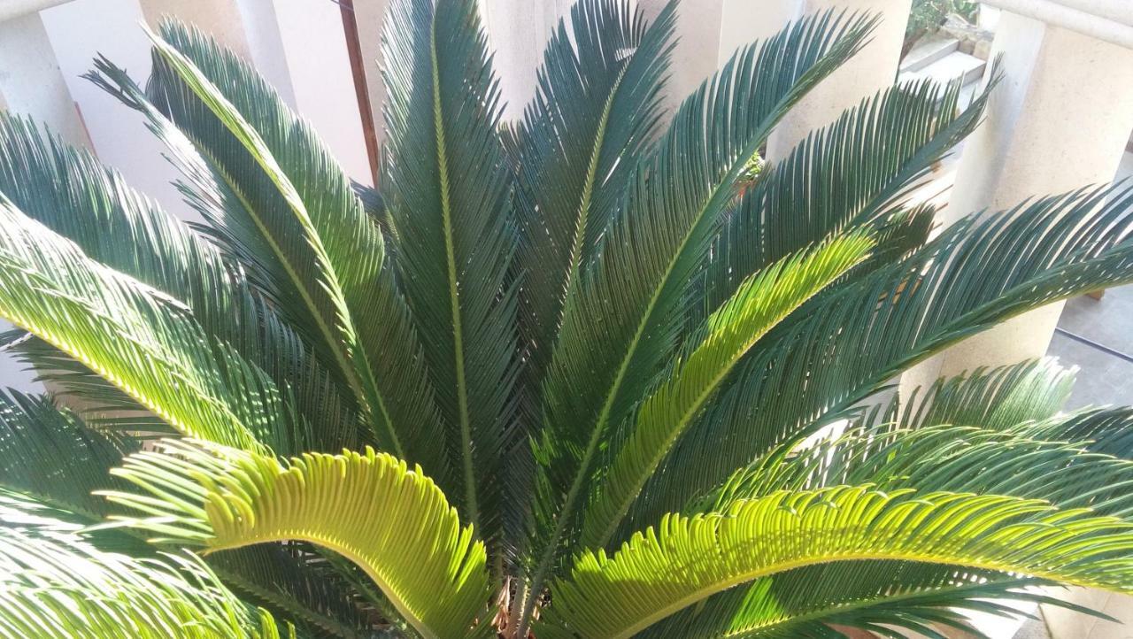 Diocletians Center Apartman Split