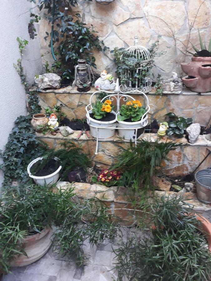 Apartman Angie