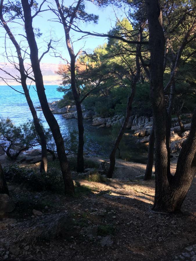 Single In The Heart Of Split