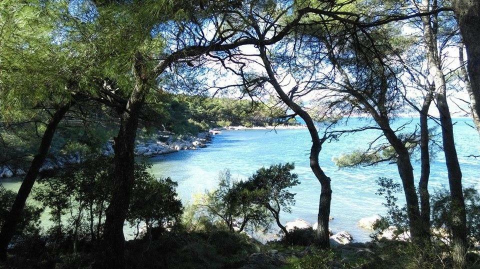 Apartment U Srcu Grada - Ilicev Prolaz Split
