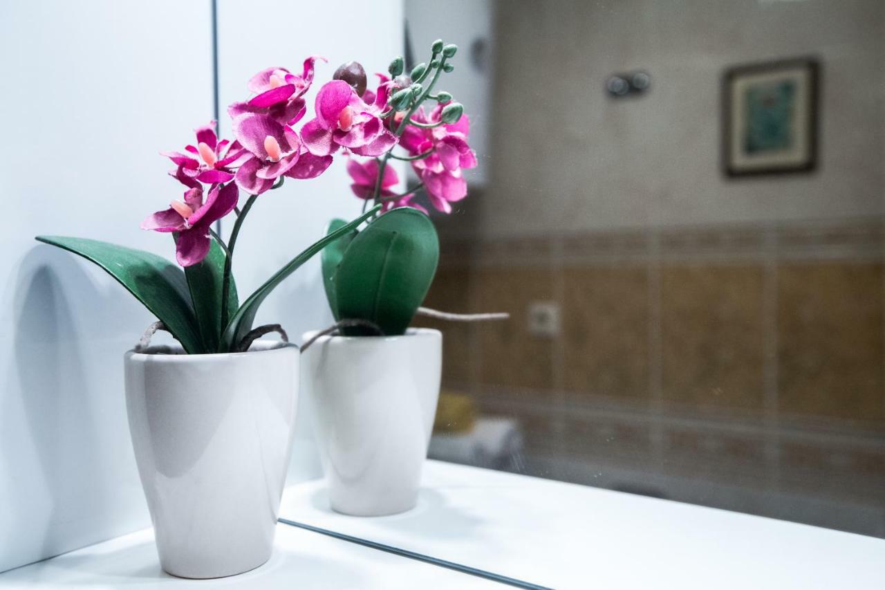 Apartment Lovret *