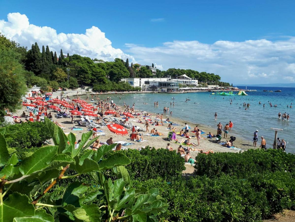 Apartman Fabris Bacvice *