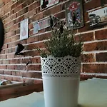 Apartment Radosevac Beach