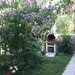 Apartment Branka