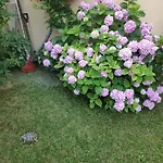 Spacious Apartment With Big Garden Near Beach