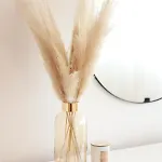 Apartment Pampas