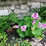 Apartment Branka