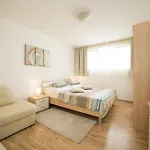 Apartment Hanna