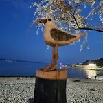 Larus