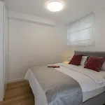 Apartment Fortuna