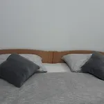 Studio Apartment Nani Centar