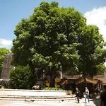 Green Place