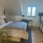 Split Rooftop Loft