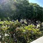 Apartman Vesna