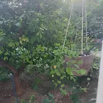 Holiday Apartment