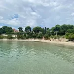 Beach And Green