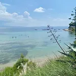Beach And Green