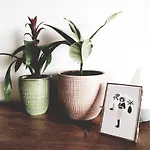 Modern Boho
