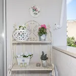 Apartment Luce