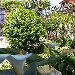 Marjan Hill 3-Br Apt,5 Guests Private Garden Near Beach