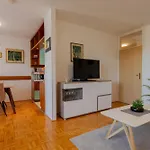 Large Stylish Apt Ankica,Free Public Parking
