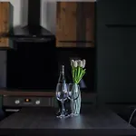Splitski Dir